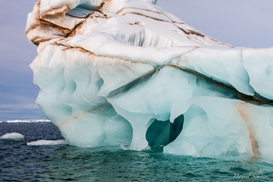   glacier de Bråssvell