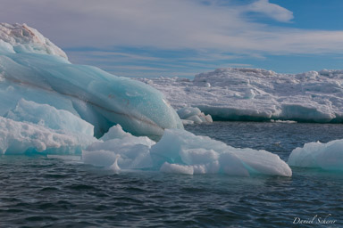   glacier de Bråssvell
