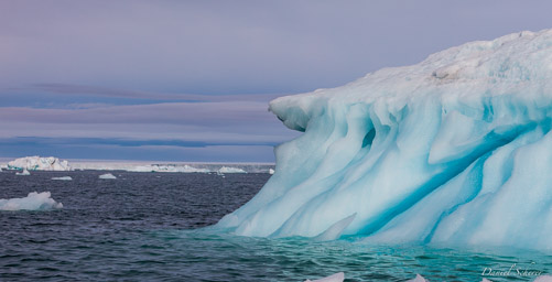   glacier de Bråssvell