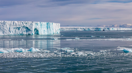   glacier de Bråssvell