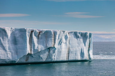   glacier de Bråssvell