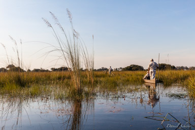 Delta de l'Okavango  