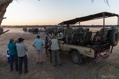 Zimbawbe -Hwange NP  