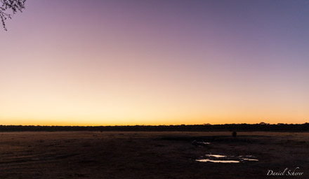 Zimbawbe -Hwange NP  