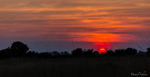 Delta de l'Okavango  