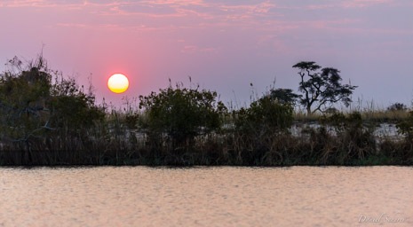 Namibie - Chobé  