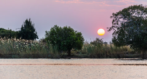 Namibie - Chobé  