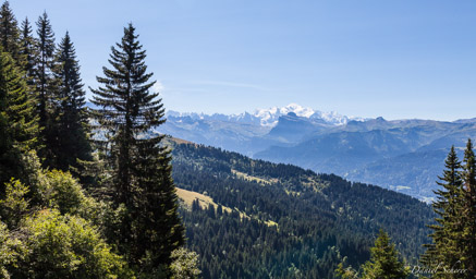 Mont Blanc vu de Verchaix  