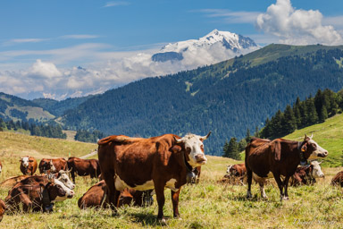 Les Aravis  