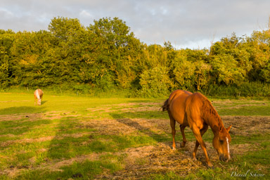 Saint Valery sur Somme  