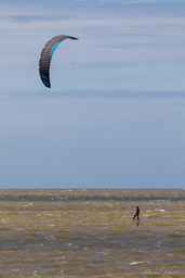Le Crotoy  