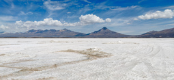 SALAR DE COIPASA