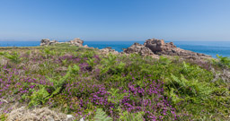 Perros Guirec chemin des douaniers