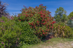 Île de Bréhat