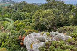 Roscoff. Le jardin exotique