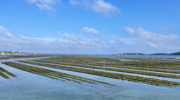 Golfe du Morbihan