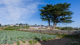 Île de Batz