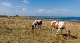 Île de Batz