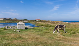 Île de Batz
