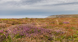 Cap de la Chèvre