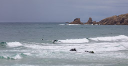 Quiberon la Côte Sauvage