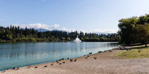 Stanley Park  Vancouver BC