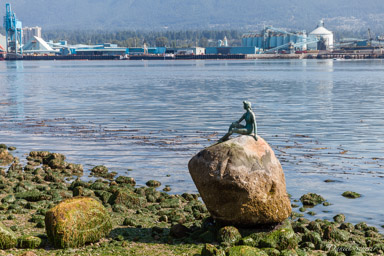 Stanley Park  Vancouver BC