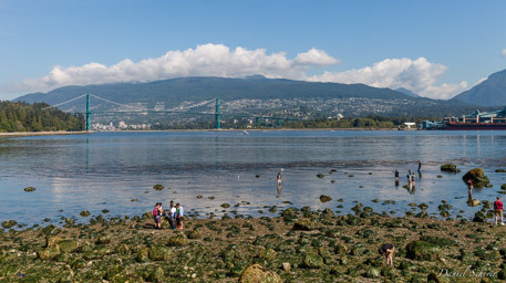 Stanley Park  Vancouver BC