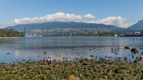 Stanley Park  Vancouver BC