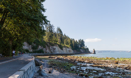 Stanley Park  Vancouver BC