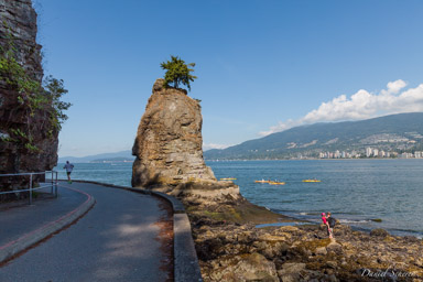 Stanley Park  Vancouver BC