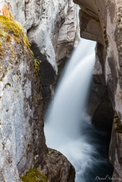   Canyon Maligne