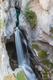   Canyon Maligne