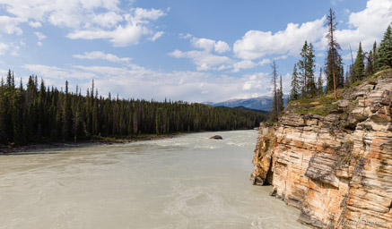   Athabaska Falls