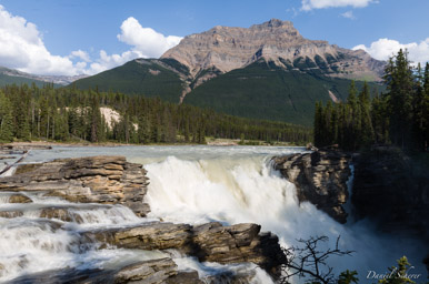   Athabaska Falls