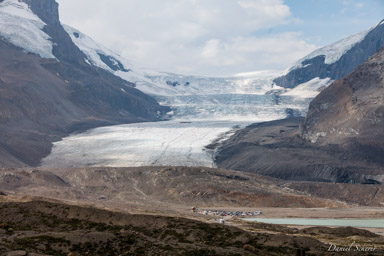   Columbia Icefield