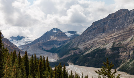   Peyto Lake