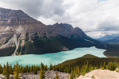   Peyto Lake