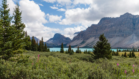   Bow Lake