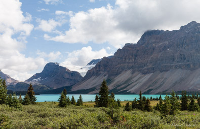   Bow Lake