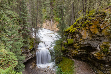   Johnston Canyon