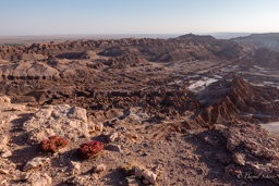 SAN PEDRO DE ATAMACA.    La vallée de Mars