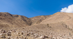 Quebrada de los Cardones.    