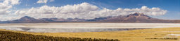 Salar de Surire.    