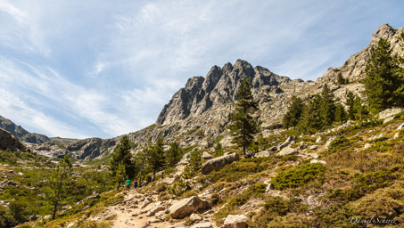 Gorges de la Restonica  