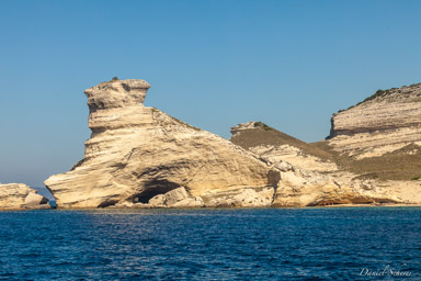 Bonifacio  