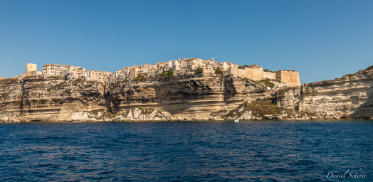 Bonifacio  