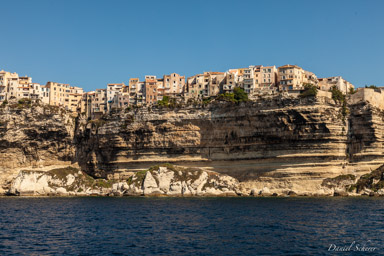 Bonifacio  