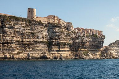Bonifacio  