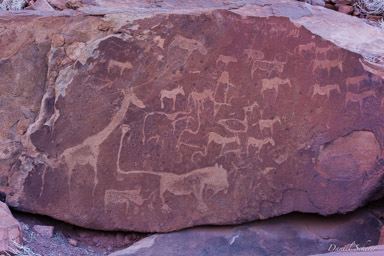 gravures rupestres de Twyfelfontein  
